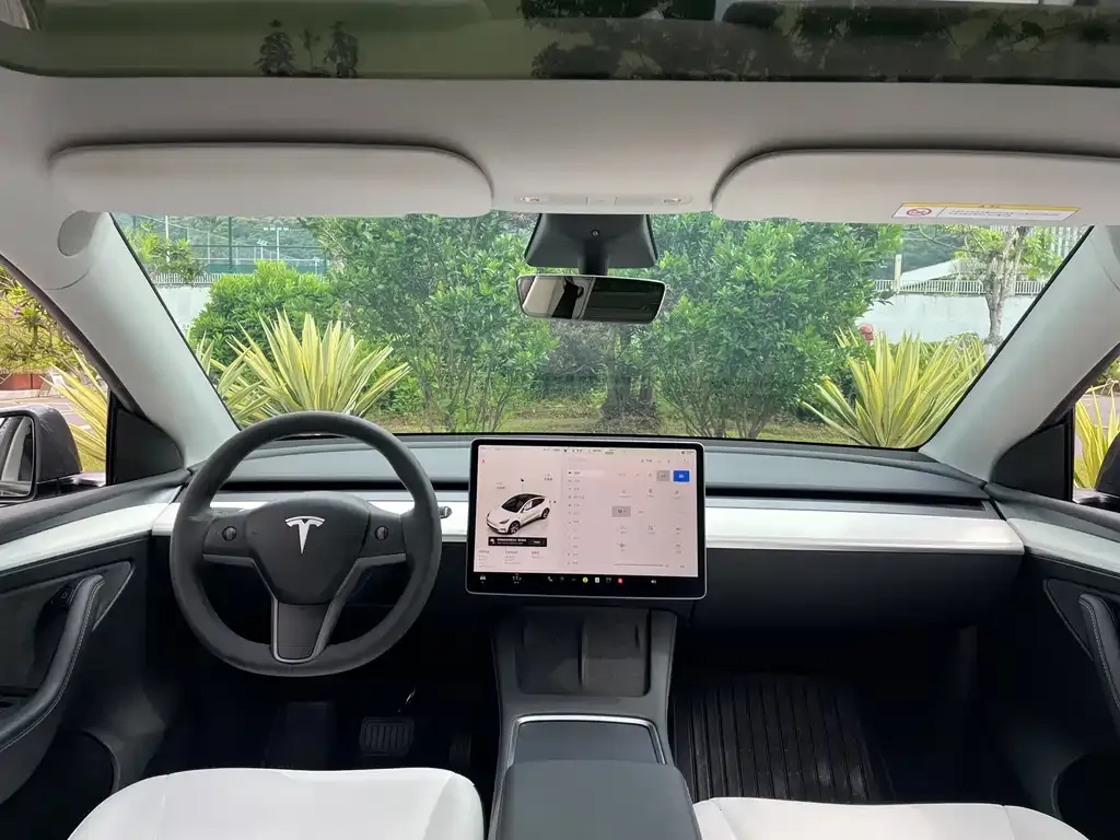 Tesla Model Y — фото 10