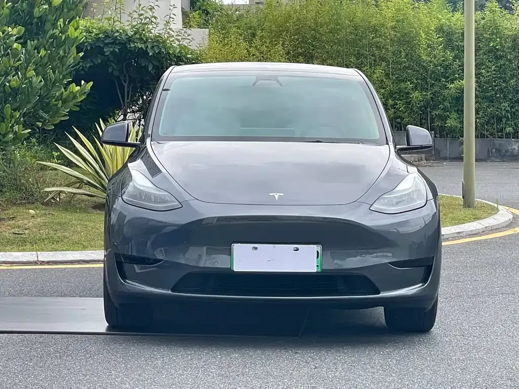 Tesla Model Y — фото 5