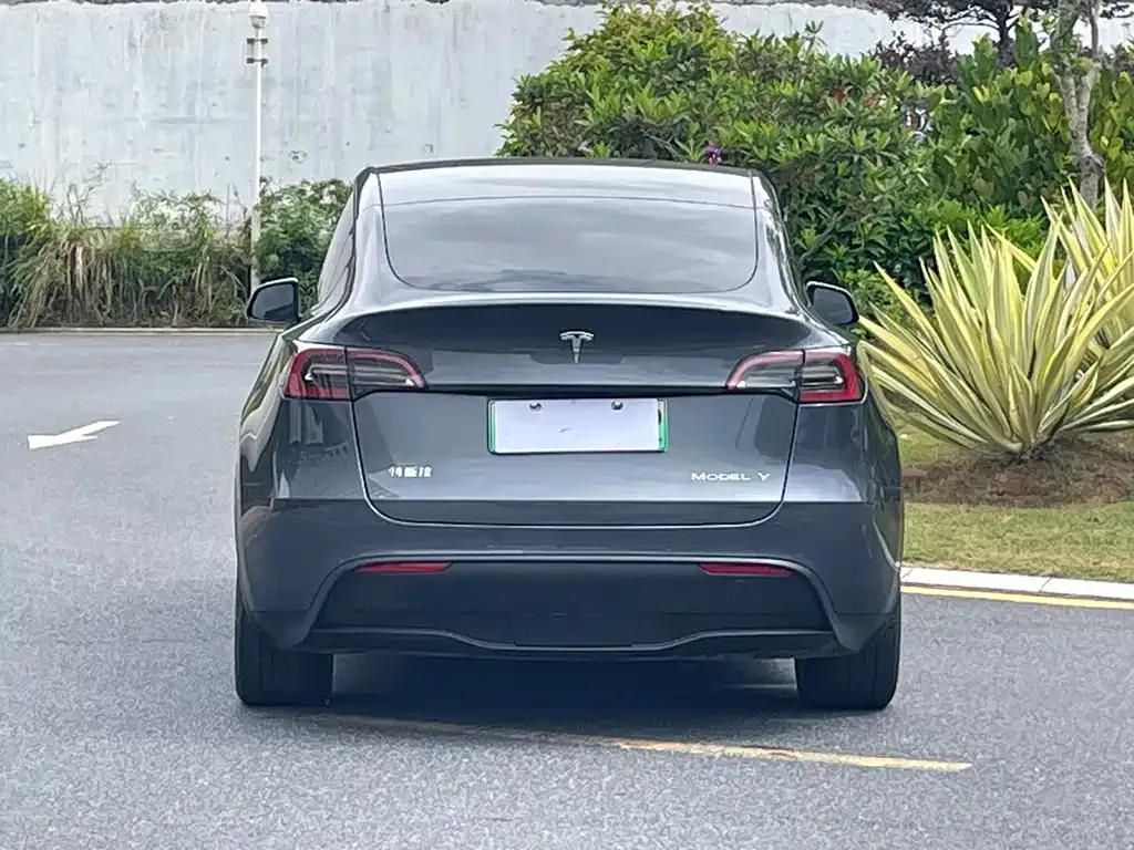 Tesla Model Y — фото 9