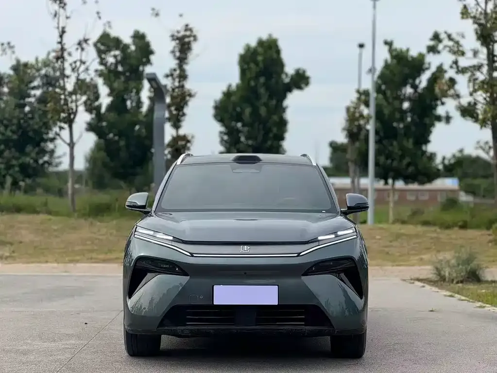 BYD Tang L — фото 2