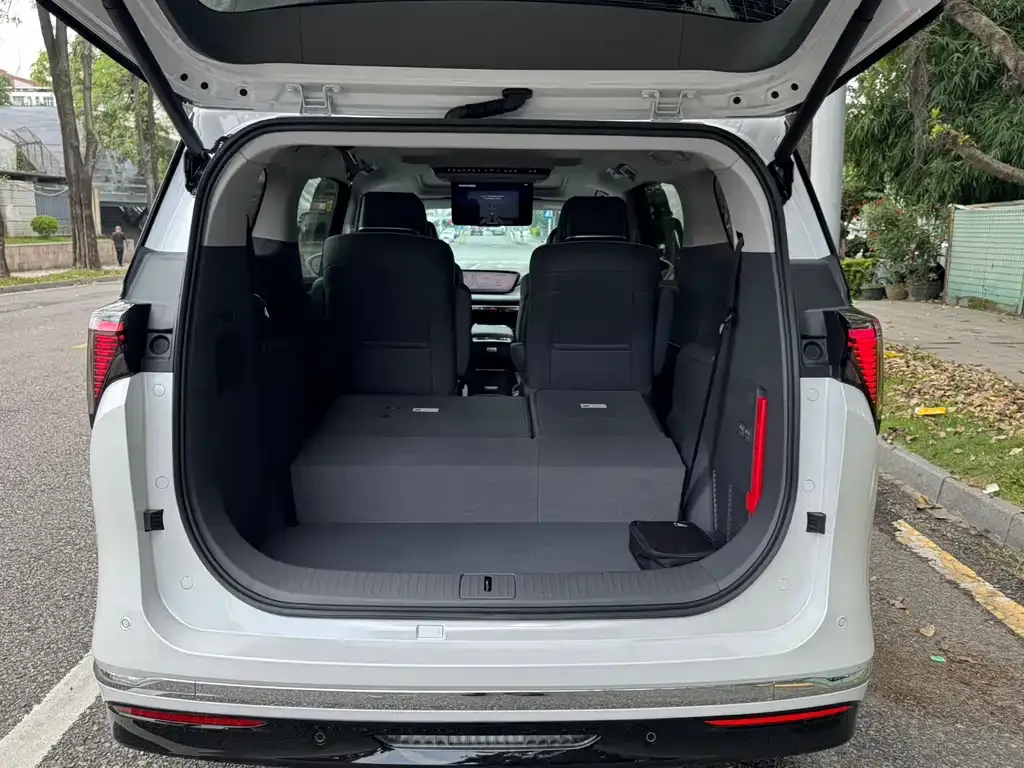 Buick GL8 Hybrid — фото 8