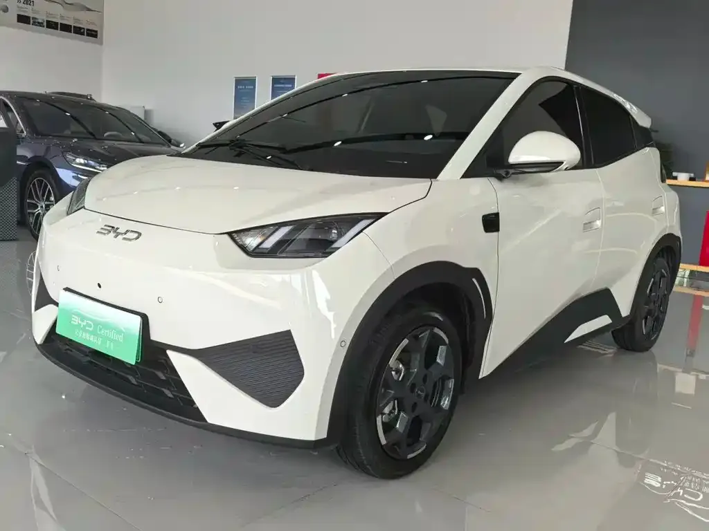 BYD Seagull