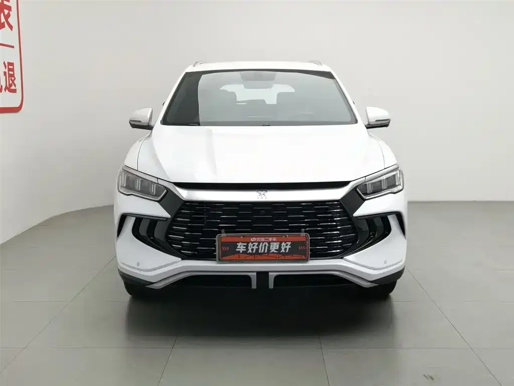 BYD Pro New Energy 2024 из CN, фото 3