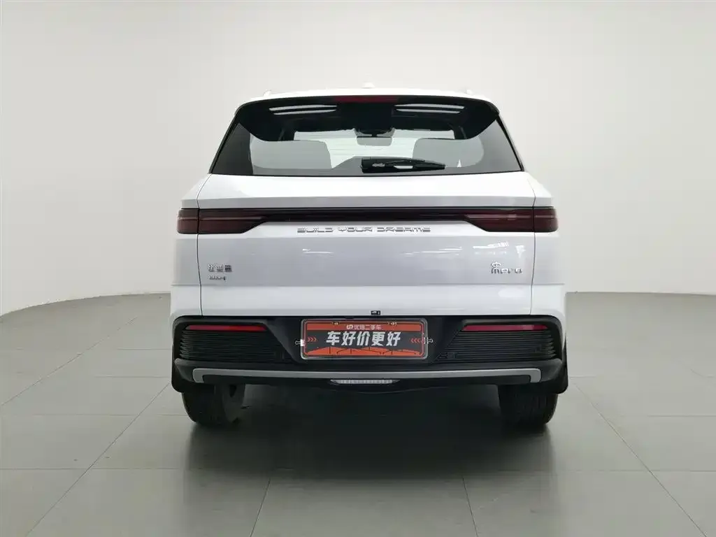 BYD Pro New Energy 2024 из CN, фото 9