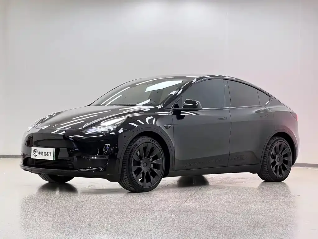 Tesla Model Y — фото 1