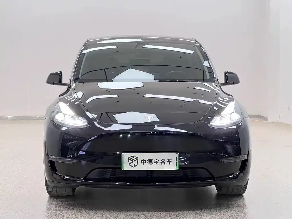 Tesla Model Y — фото 6