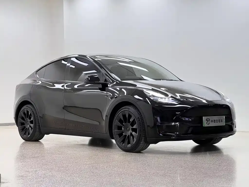 Tesla Model Y — фото 3