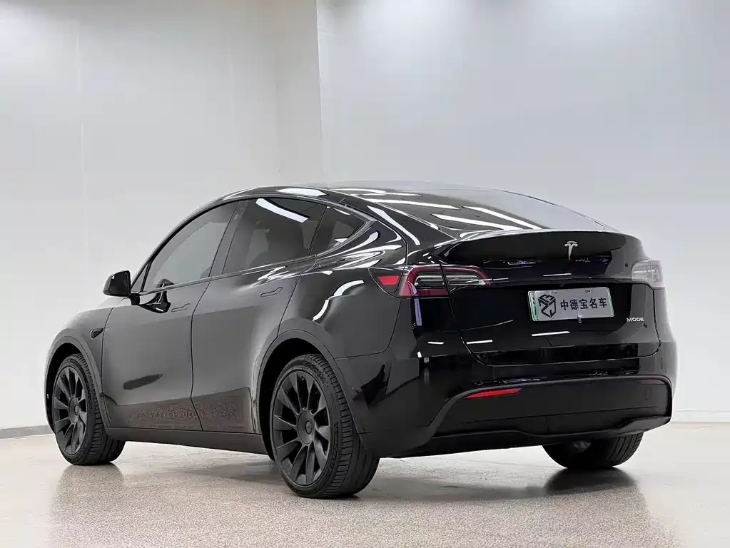 Tesla Model Y — фото 9