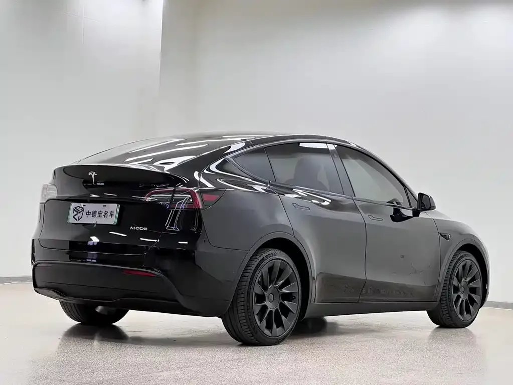 Tesla Model Y — фото 5