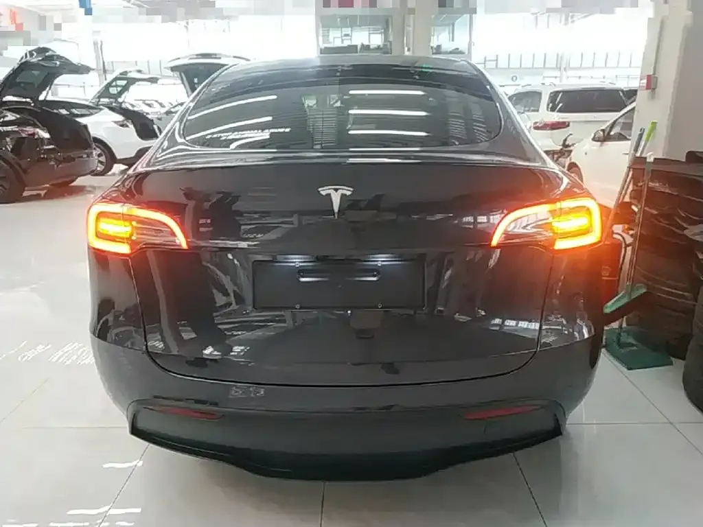 Tesla Model Y — фото 10
