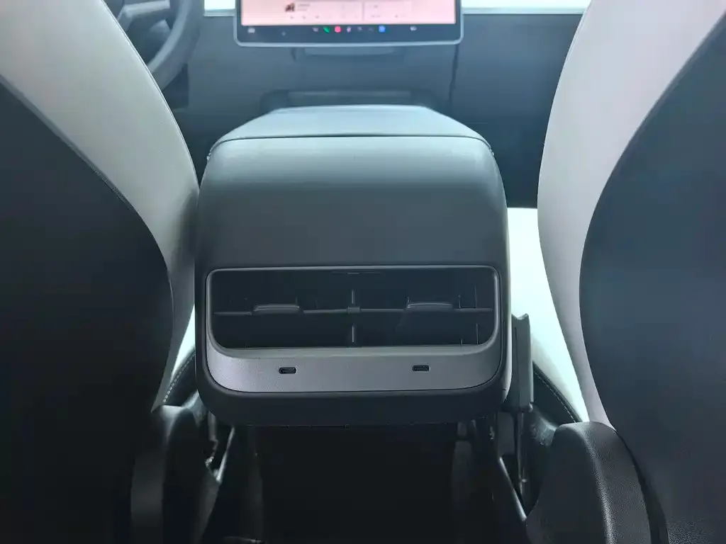 Tesla Model 3 2022 из CN, фото 4
