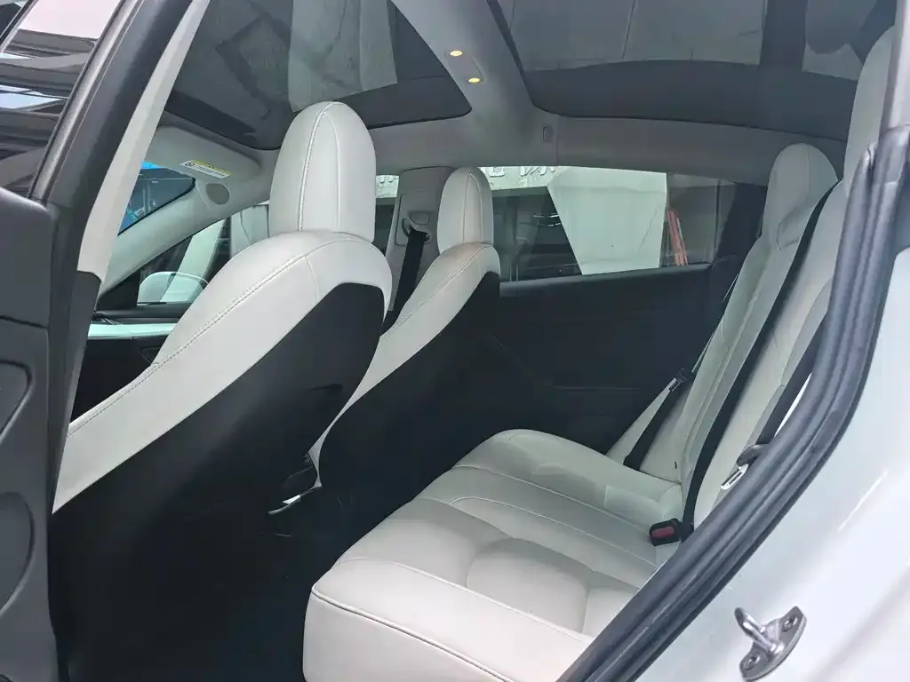 Tesla Model 3 2022 из CN, фото 6