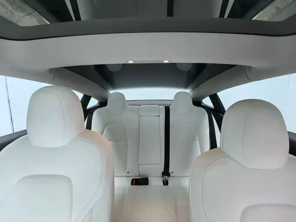 Tesla Model 3 2022 из CN, фото 3