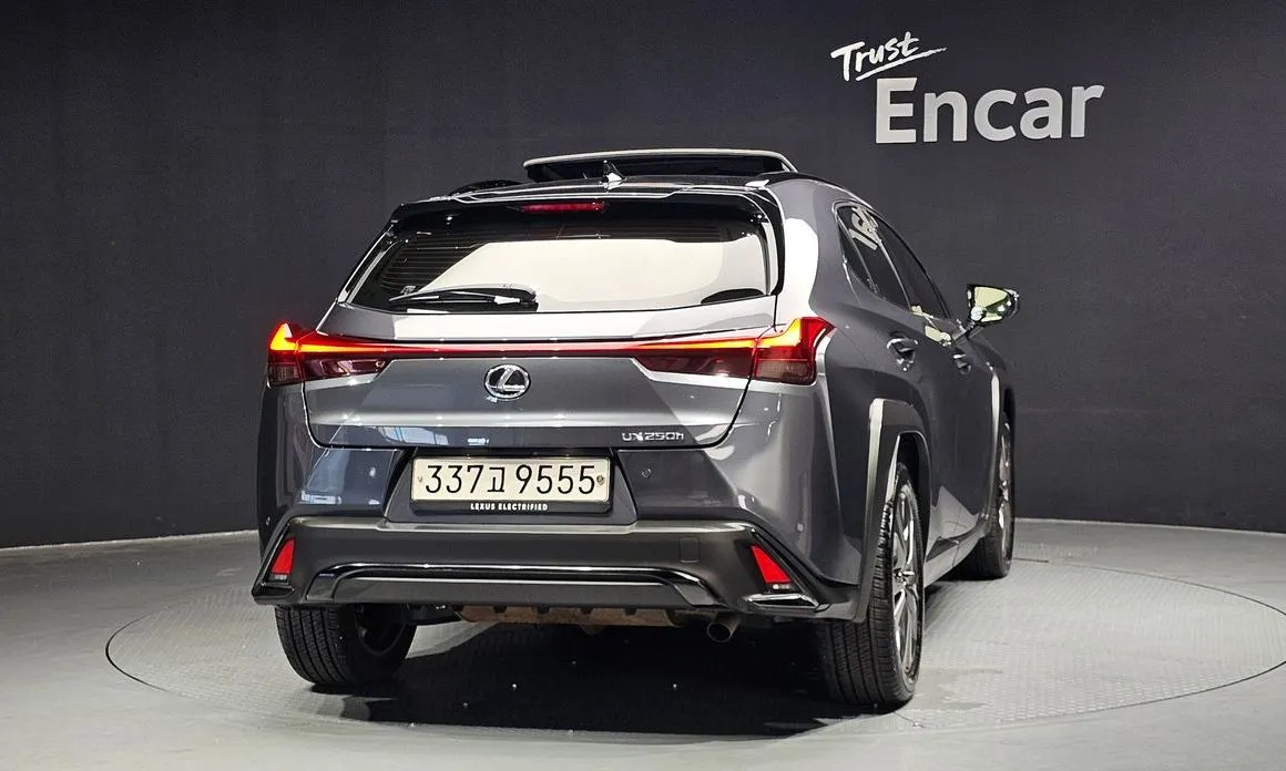 Lexus UX 2024 из KR, фото 3
