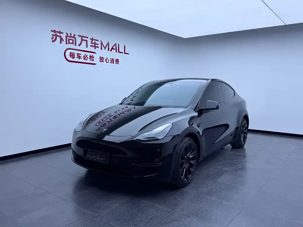Tesla Model Y — фото 1