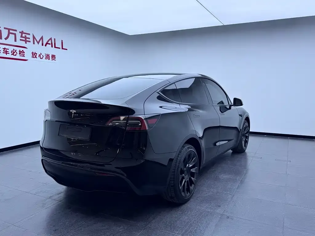 Tesla Model Y — фото 8