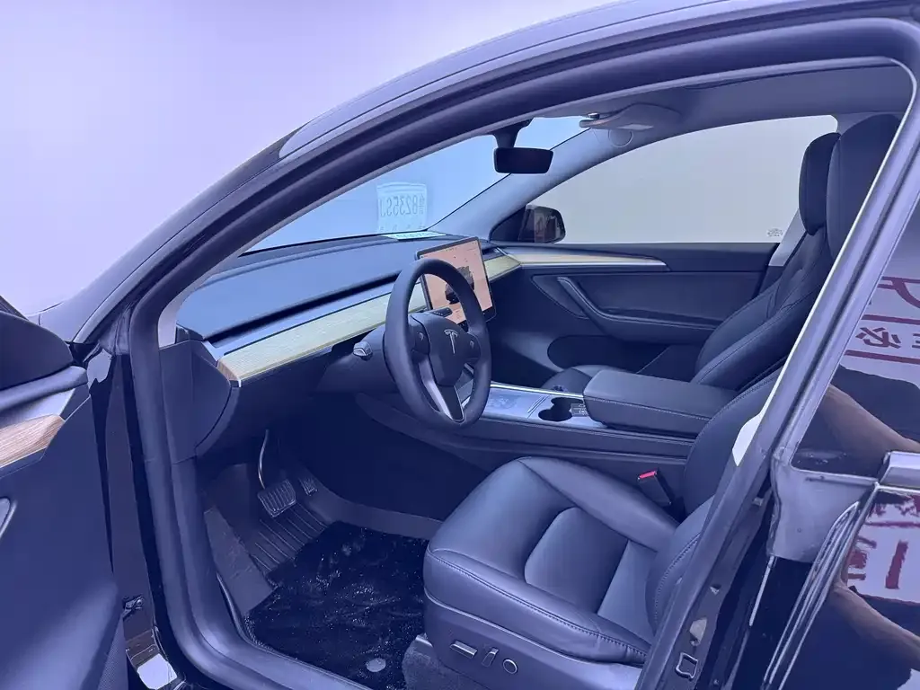 Tesla Model Y — фото 9