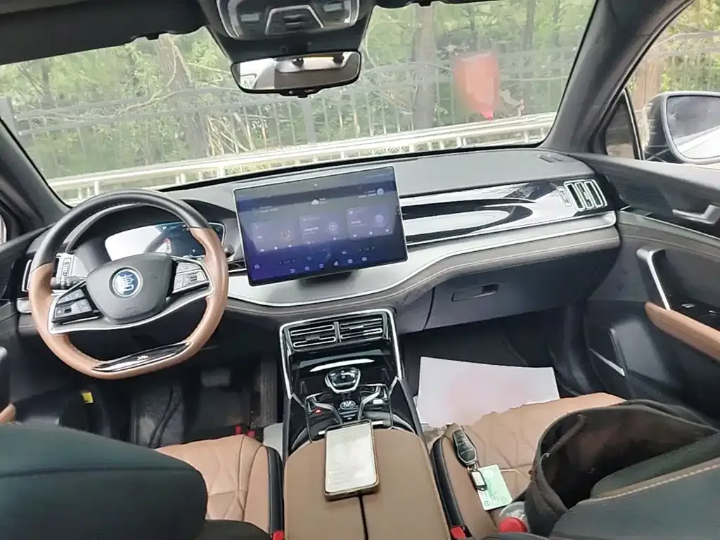 BYD Tang New Energy 2024 из CN, фото 5