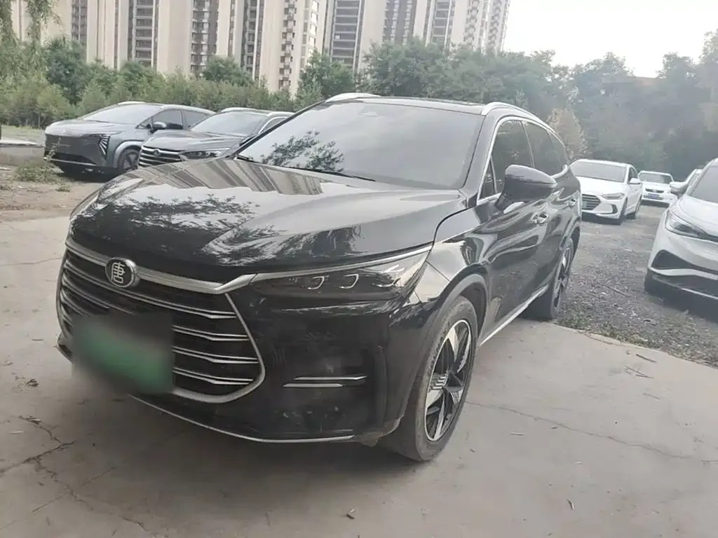 BYD Tang New Energy 2024 из CN, фото 9
