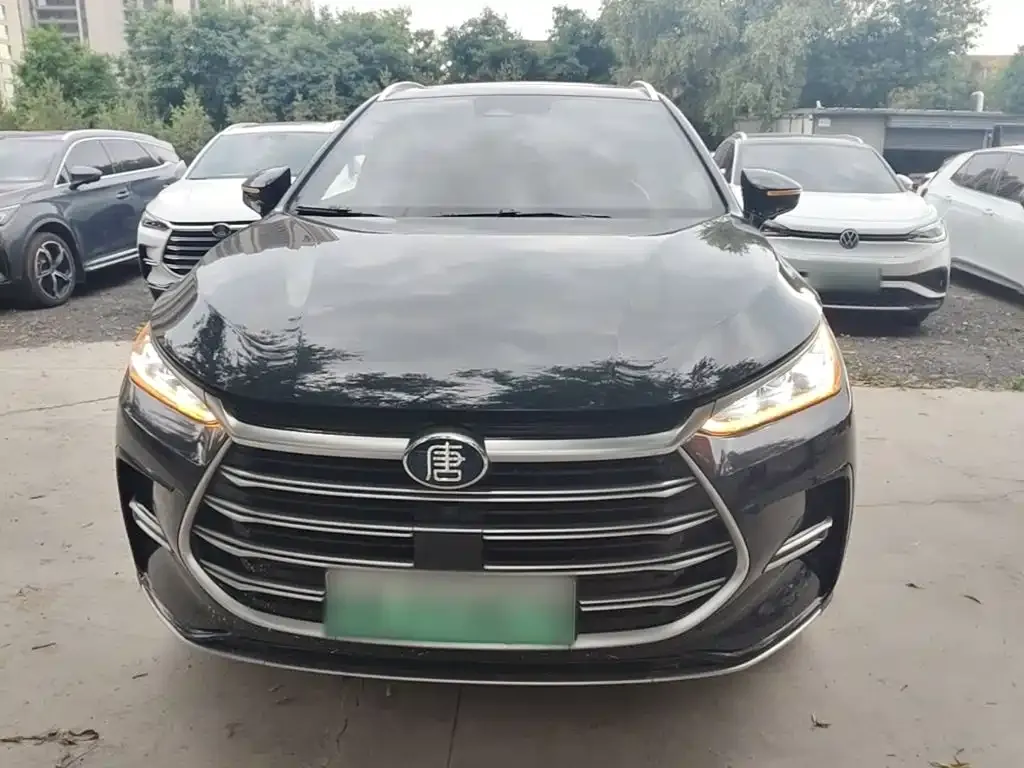 BYD Tang New Energy 2024 из CN, фото 2