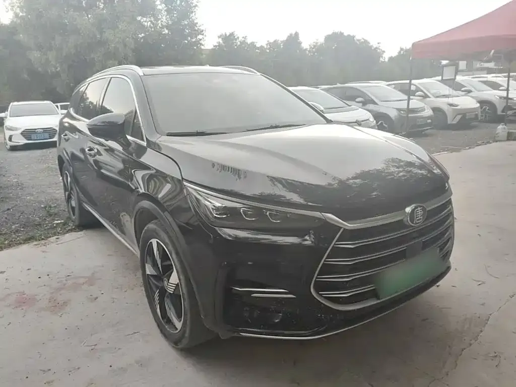 BYD Tang New Energy 2024 из CN, фото 4