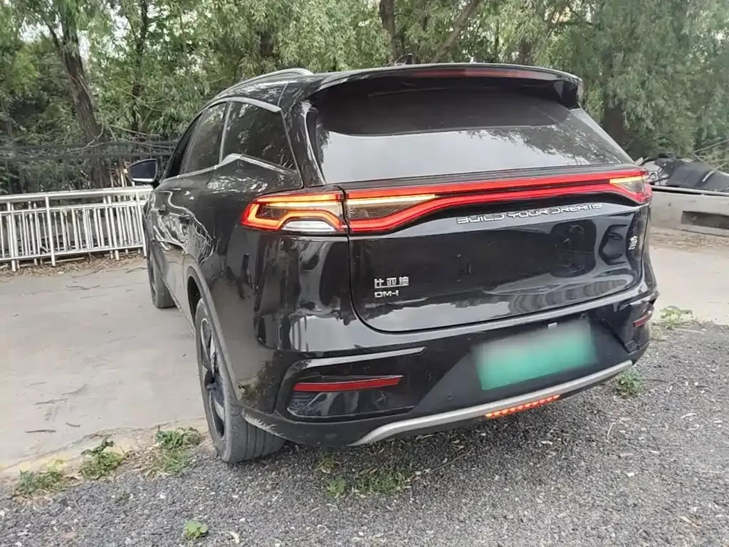 BYD Tang New Energy 2024 из CN, фото 7