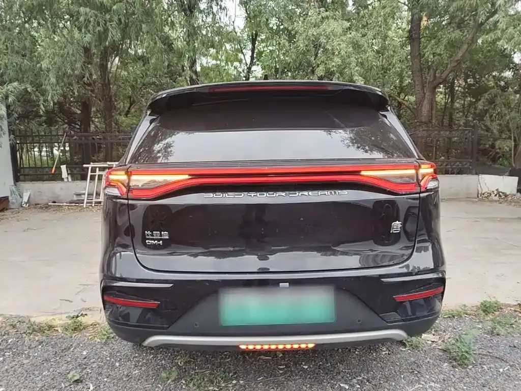 BYD Tang New Energy 2024 из CN, фото 10