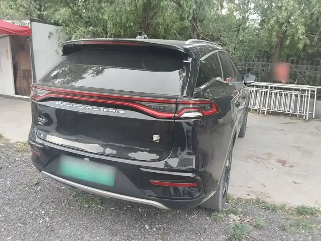 BYD Tang New Energy 2024 из CN, фото 8