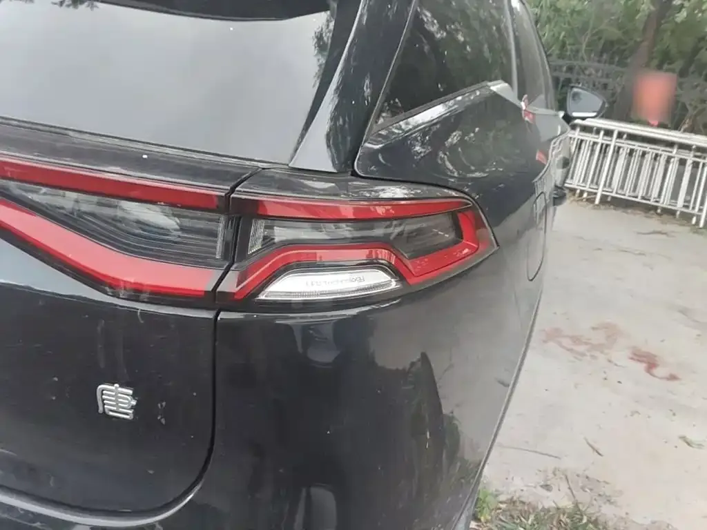 BYD Tang New Energy 2024 из CN, фото 6