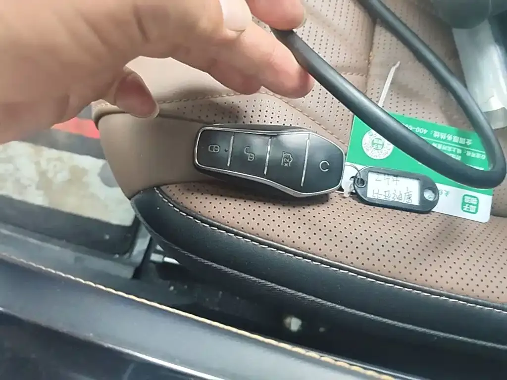 BYD Tang New Energy 2024 из CN, фото 3
