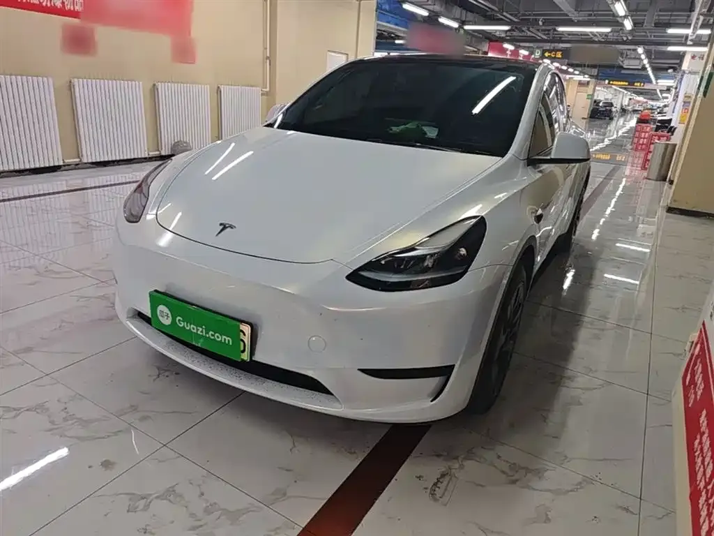 Tesla Model Y — фото 1