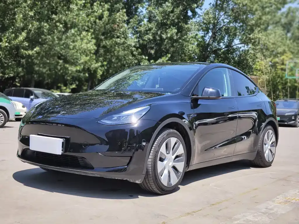 Tesla Model Y — фото 1