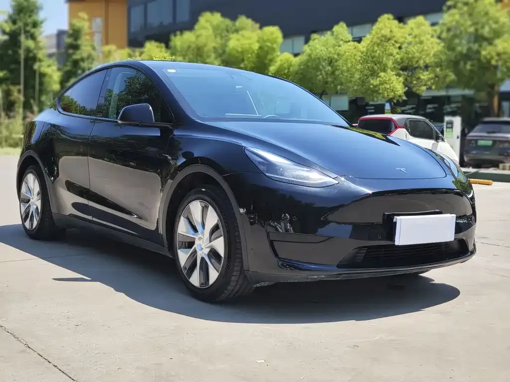 Tesla Model Y — фото 2