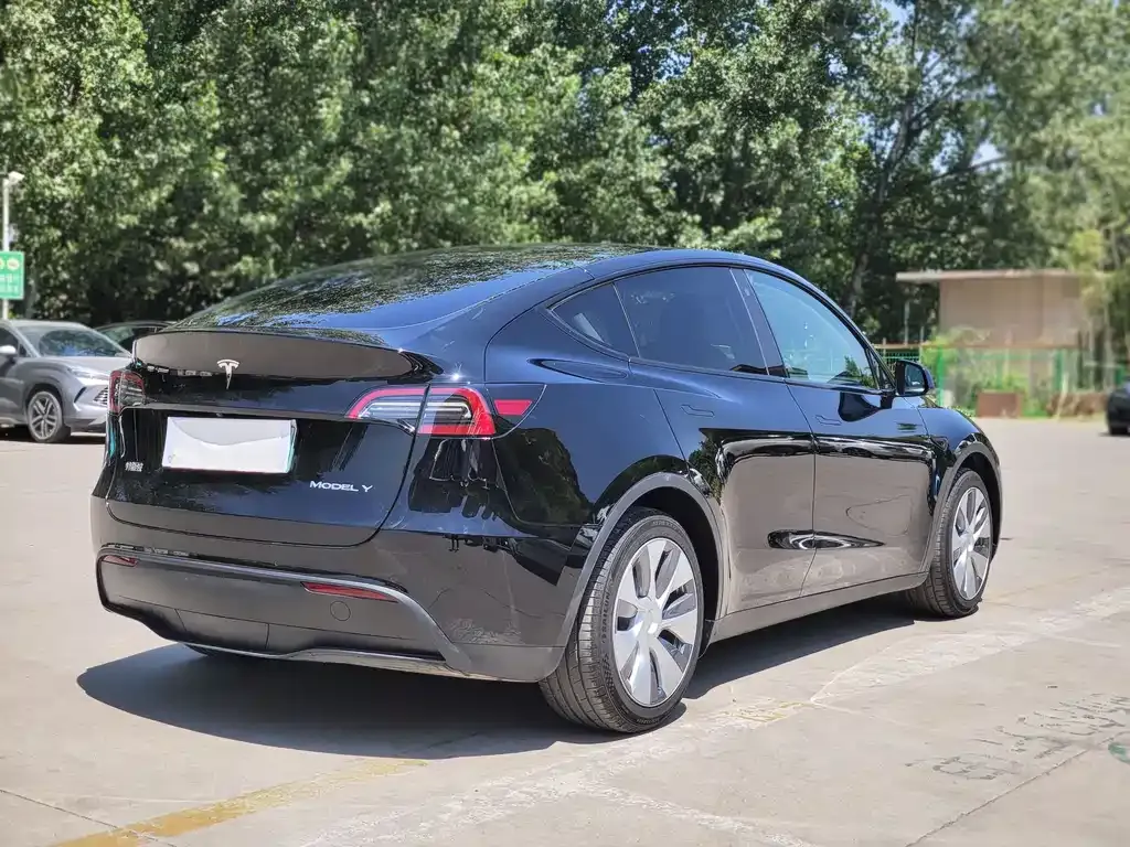 Tesla Model Y — фото 8