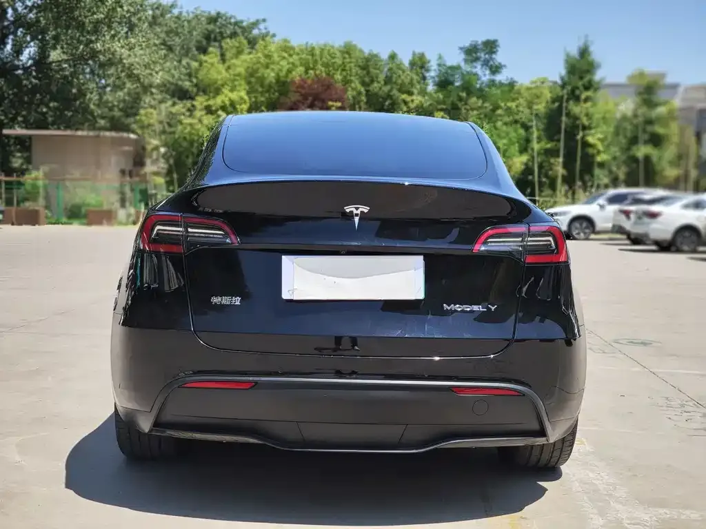 Tesla Model Y — фото 3