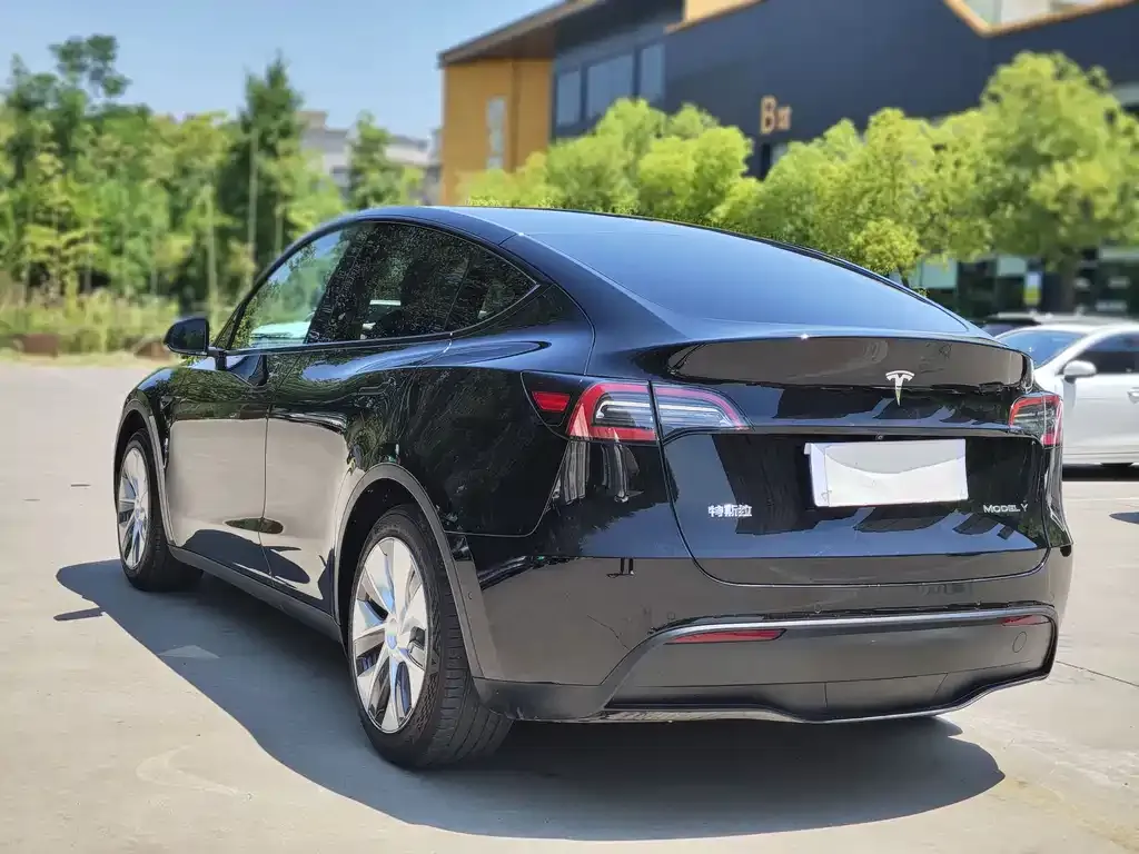 Tesla Model Y — фото 6