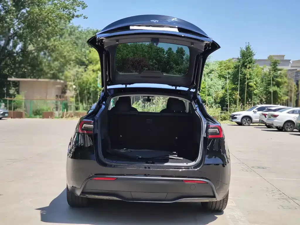 Tesla Model Y — фото 5