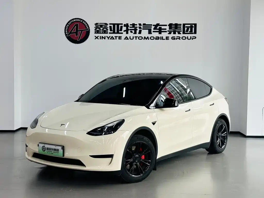 Tesla Model Y 2023 из CN, фото 4