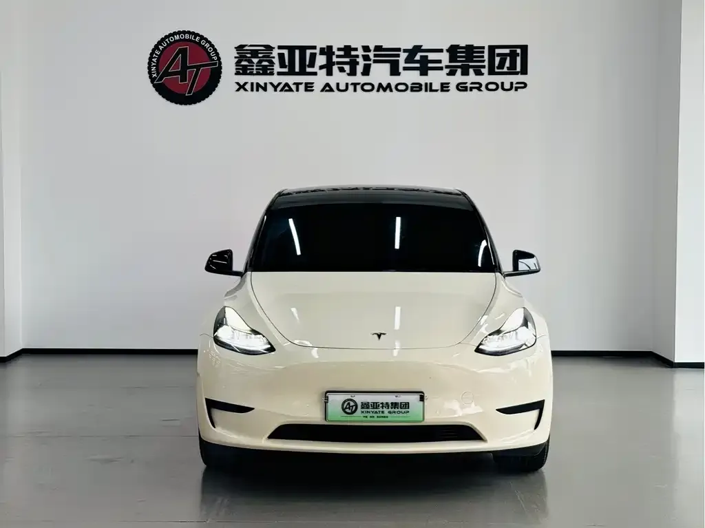 Tesla Model Y 2023 из CN, фото 3