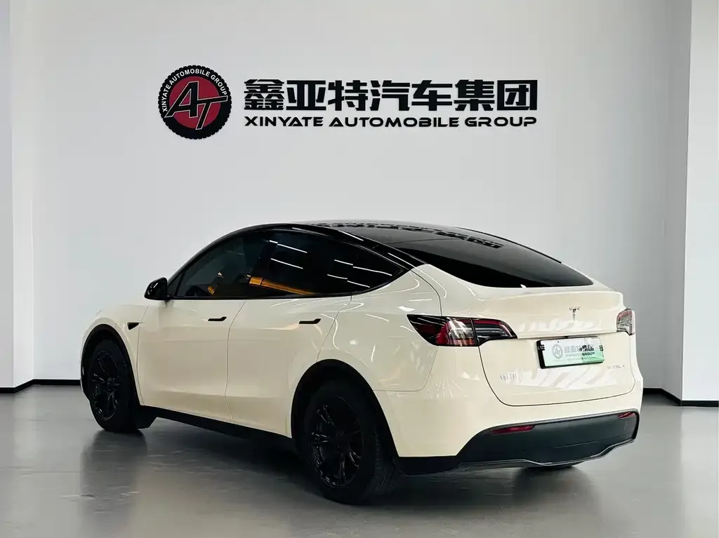Tesla Model Y 2023 из CN, фото 2