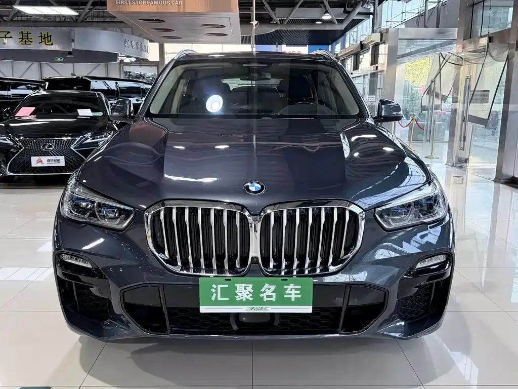 BMW X5 (Import) 2021 из CN, фото 9