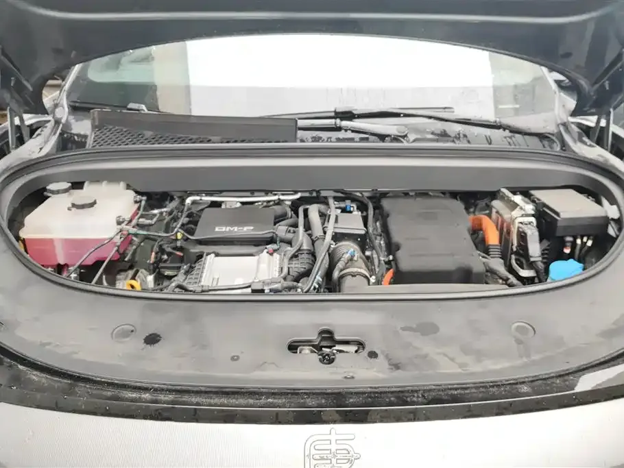 BYD Tang L 2025 из CN, фото 10