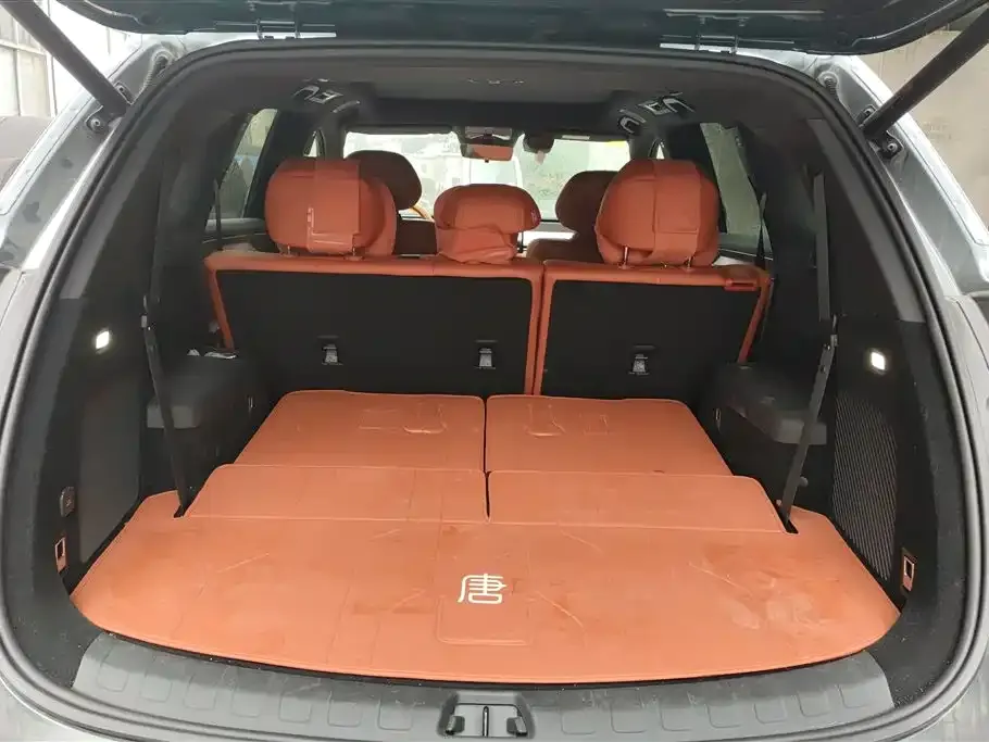 BYD Tang L 2025 из CN, фото 2
