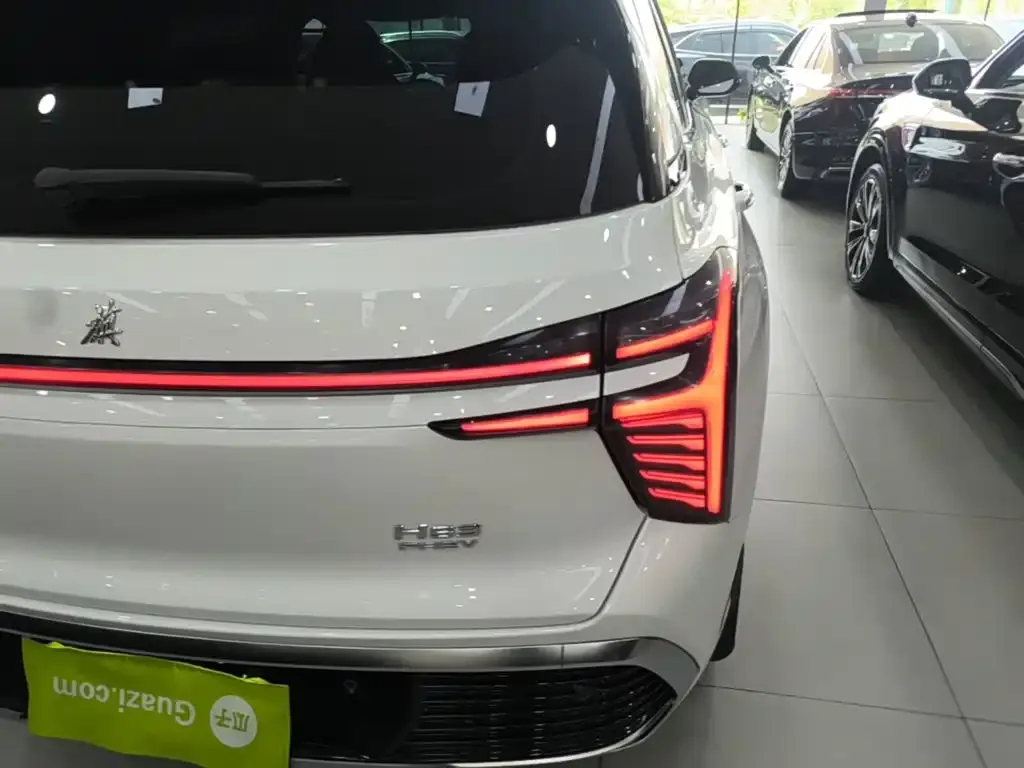 Hongqi HS3 PHEV 2025 из CN, фото 5