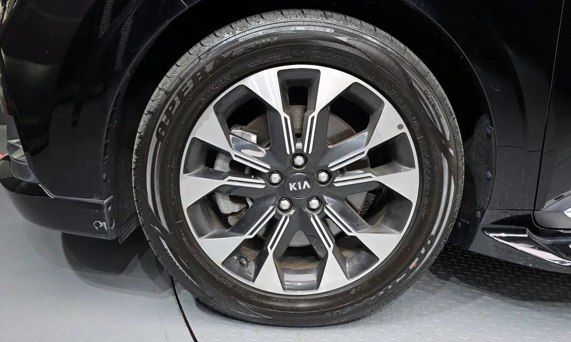 Kia Carnival — фото 10