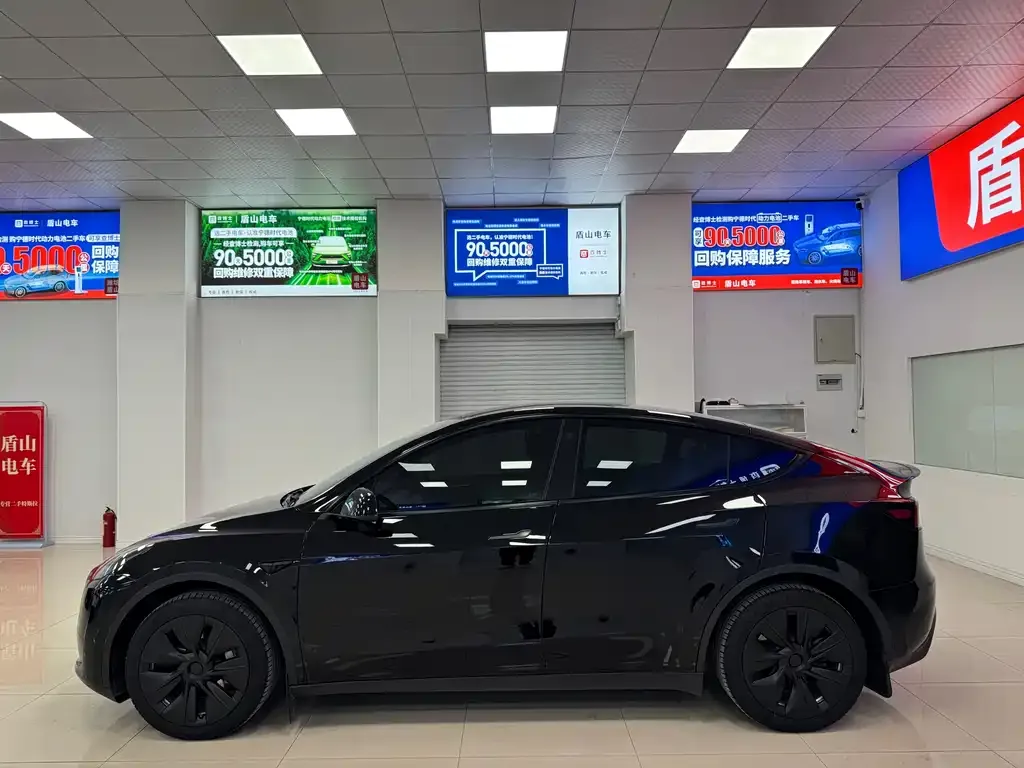 Tesla Model Y — фото 2