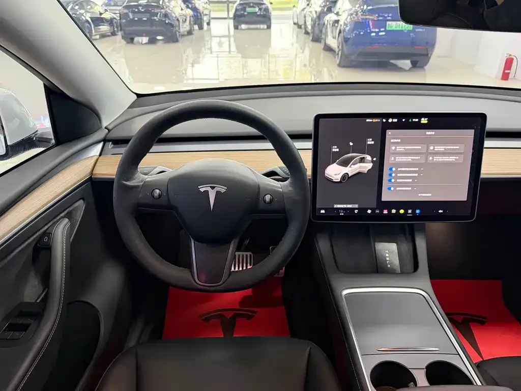 Tesla Model Y — фото 8