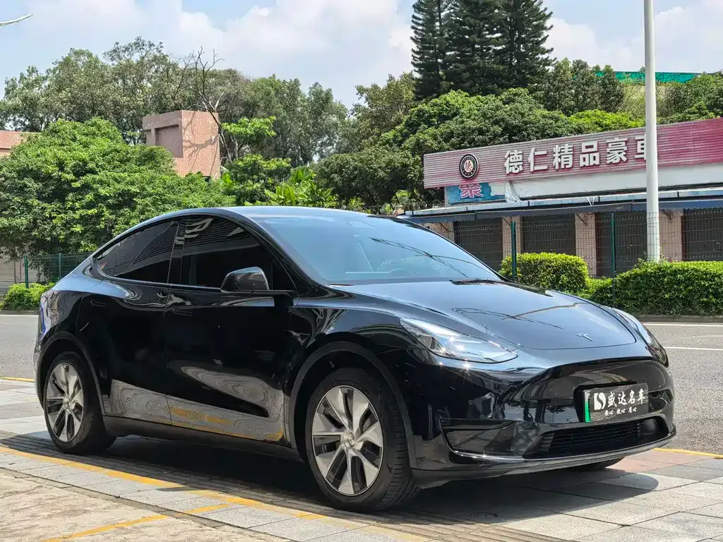 Tesla Model Y — фото 6
