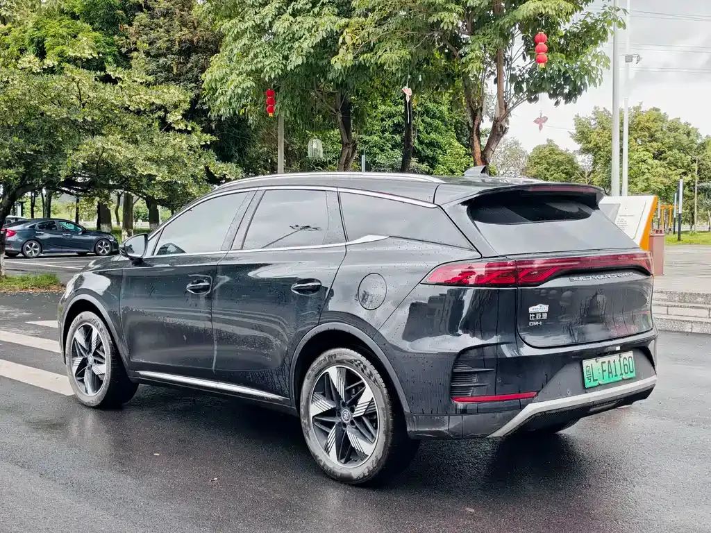 BYD Tang New Energy 2024 из CN, фото 6