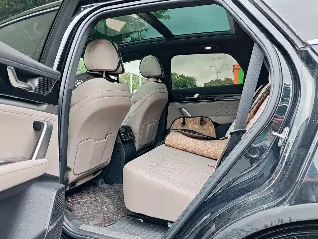 BYD Tang New Energy 2024 из CN, фото 2